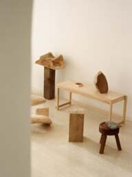 Birch Wood Bench 01 - thumbnail 2