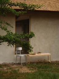 Birch Wood Bench 01 - thumbnail 5