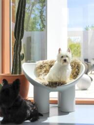 Lounge Chair Roly Poly - thumbnail 2