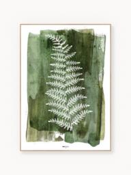 Framed Digital Print White Fern