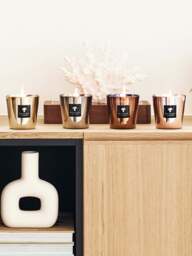 Scented Candle Exclusives (Amber, Nutmeg, Vetiver) - thumbnail 2
