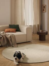 Round Hand-Tufted Wool Rug Eleni - thumbnail 7