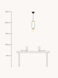Small Mouth-Blown Pendant Light Shapes - thumbnail 4