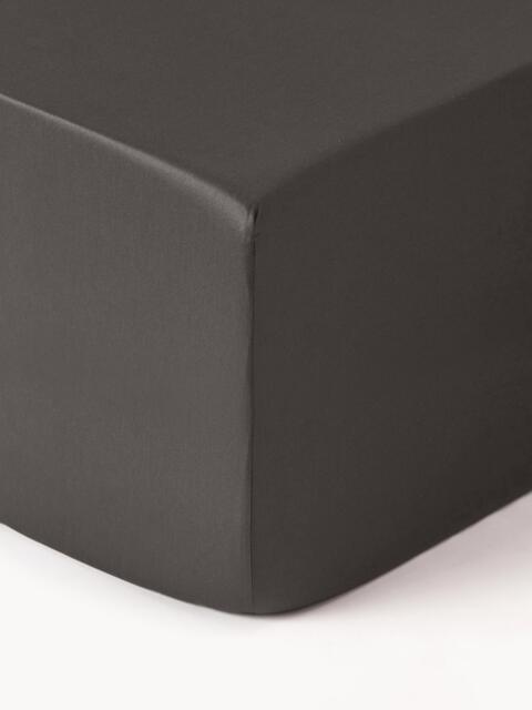 Divan Fitted Sheet Premium, Cotton Sateen - image 1