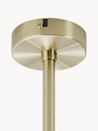 Design Ceiling Lamp Peony - thumbnail 8