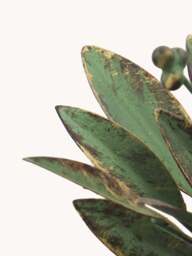 Handmade Candle Holder Leaves - thumbnail 3