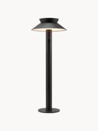 Outdoor LED Pathway Light Justina with Motion Sensor