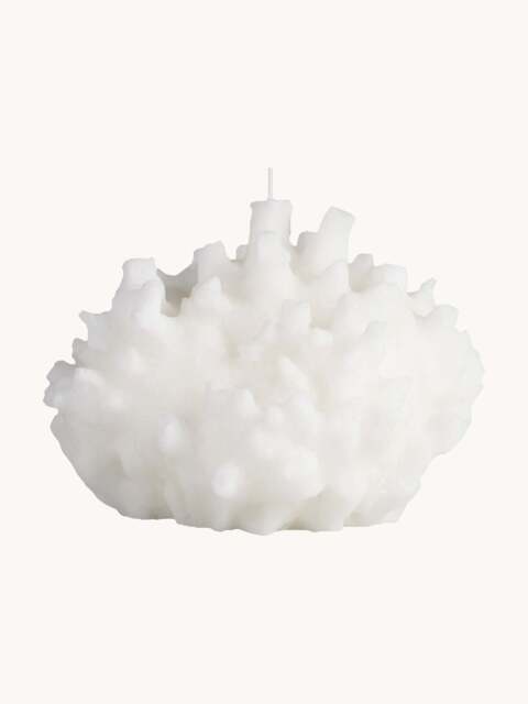 Handmade Candle Sir Lankester - image 1
