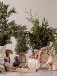 Oak Wood Decorative Objects Lovebirds, Set of 2 - thumbnail 3