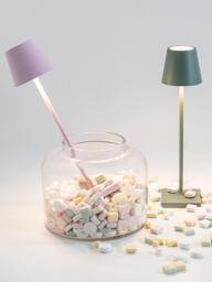 Portable LED Table Lamp Poldina Pro Micro, Dimmable - thumbnail 2