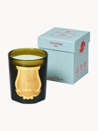 Handmade Scented Candle Gabriel (Cashmere Wood & Moss) - thumbnail 3