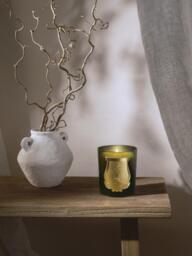 Handmade Scented Candle Ernesto (Clove, Labdanum, Oakwood & Patchouli) - thumbnail 4