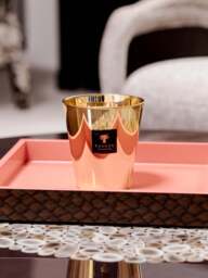 Scented Candle Exclusives (Jasmine, Galbanum, Musk) - thumbnail 2