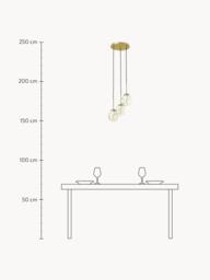 Glass Cluster Pendant Light Amora - thumbnail 8
