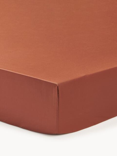 Topper Fitted Sheet Premium, Cotton Sateen - image 1