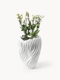 Vase Milazzo with Ribbed Twist, H 44 cm - thumbnail 5