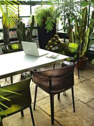 Outdoor Dining Chairs Papyrus with Armrests, Set of 2 - thumbnail 3