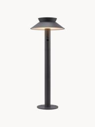 Outdoor LED Pathway Light Justina with Motion Sensor - thumbnail 1