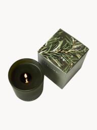 Scented Candle (Fir Needles, Cinnamon & Oak Moss) - thumbnail 4