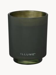 Scented Candle (Fir Needles, Cinnamon & Oak Moss) - thumbnail 2