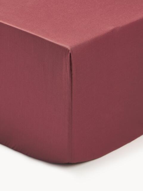 Divan Fitted Sheet Premium, Cotton Sateen - image 1