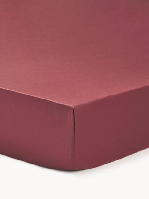Topper Fitted Sheet Premium, Cotton Sateen - image 1