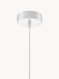 Pendant Light Bloom - thumbnail 3