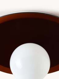 Wall & Ceiling Lamp Starling - thumbnail 5