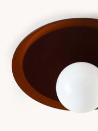 Wall & Ceiling Lamp Starling - thumbnail 6