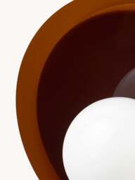 Wall & Ceiling Lamp Starling - thumbnail 8