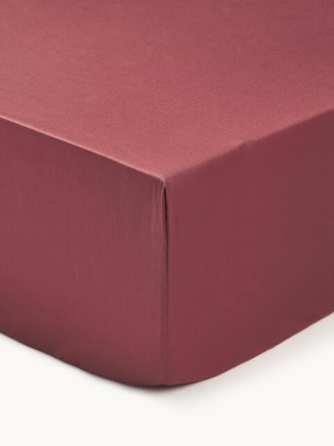 Fitted Sheet Premium, Cotton Sateen - image 1