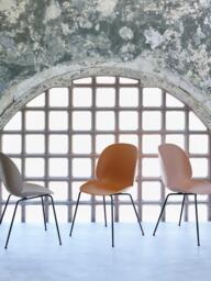 Dining Chair Beetle - thumbnail 2