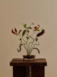Decorative Bowl Stoff Nagel - thumbnail 2