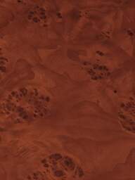 Wooden Coffee Table Burl - thumbnail 4