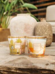 Mouth-Blown Scented Candle My First Baobab Miami (Salt Flower, Beach Pine & Cypress) - thumbnail 2
