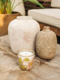 Mouth-Blown Scented Candle My First Baobab Miami (Salt Flower, Beach Pine & Cypress) - thumbnail 4