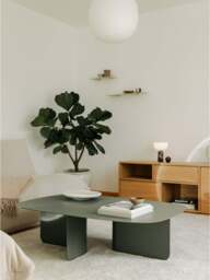 Handmade Coffee Table Livia - thumbnail 2