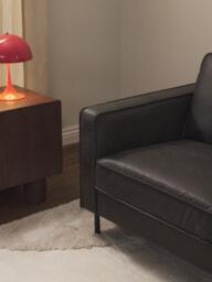 Leather Armchair Hunter - thumbnail 8