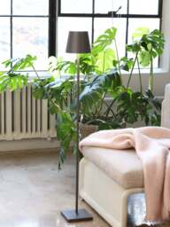 Dimmable LED Floor Lamp Poldina Pro L, Height-Adjustable - thumbnail 4
