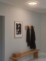 Dimmable LED Ceiling Lamp Oja - thumbnail 3