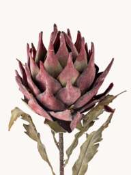 Artificial Flower Protea - thumbnail 2