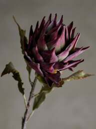 Artificial Flower Protea - thumbnail 3