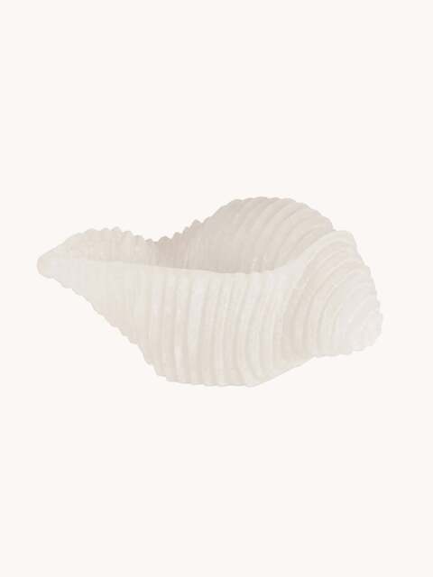 Handmade Candle Cargol in Seashell Shape - image 1