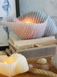 Handmade Candle Cargol in Seashell Shape - thumbnail 2