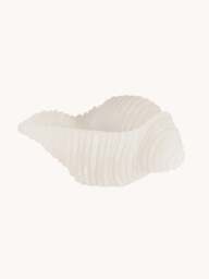 Handmade Candle Cargol in Seashell Shape - thumbnail 1