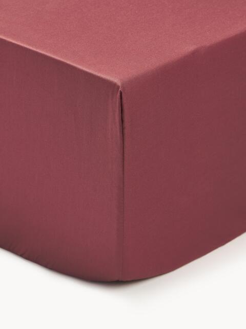 Divan Fitted Sheet Premium, Cotton Sateen - image 1