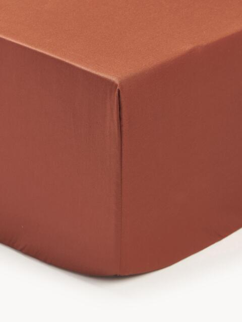 Divan Fitted Sheet Premium, Cotton Sateen - image 1