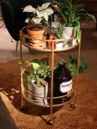 Round Serving Trolley Emilia with Mirrored Glass Shelves - thumbnail 2