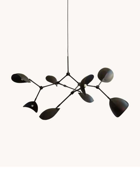 Large Chandelier Stingray, in various sizes - image 1