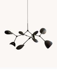 Large Chandelier Stingray, in various sizes